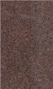 New Nevertity Granite Slabs And Tiles , New Nefertiti 