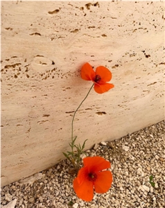 Travertino Navona Travertine Blocks