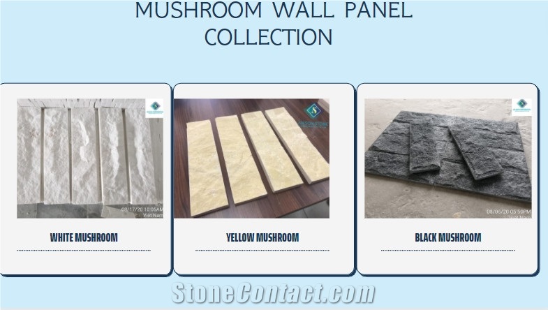 Summary Of 3 Outstanding Colors Of Mushroom Wall Panel
