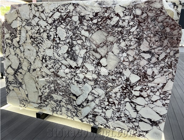 White And Red Marble Calacatta Viola Marble Wall Tile