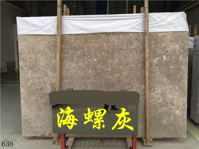 Conchiglia Rara Marble Marmi Slab Tile In China Stone Market