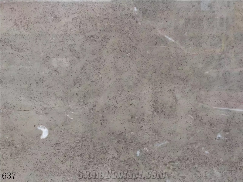 Deep Sea Marble Shell Feibei Flower In China Stone Market