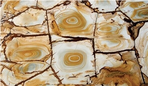 Palomino Quartzite Slabs, Yellow Brazil Quartzite Slabs