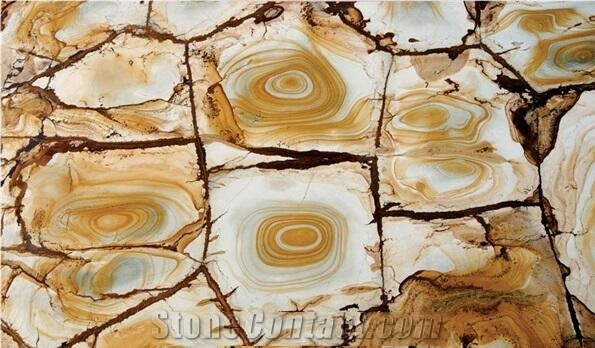 Palomino Quartzite Tiles & Slabs, Yellow Brazil Quartzite