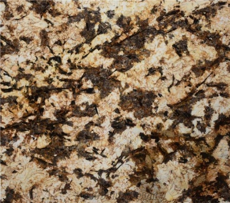 Royal Gold Granite Brazil Granite Slabs & Tiles