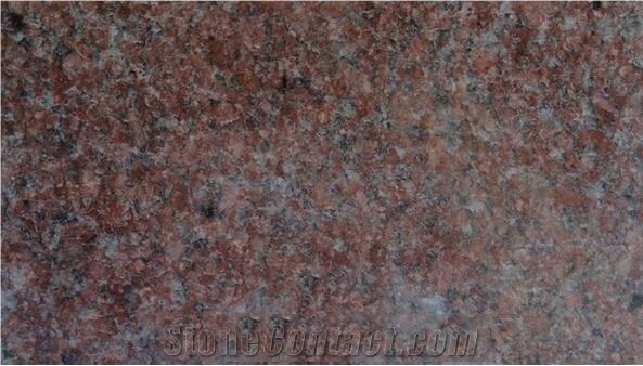 Ruby Red Granite Tiles, Slabs