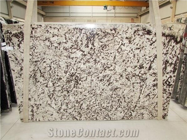 Splendor White Granite Slabs, White Brazil Granite Slabs