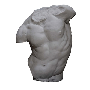 Strong Male Torso Sculpture