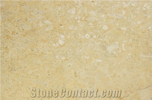 Coral Stone Tile 16X24 Honed Large Format Pattern