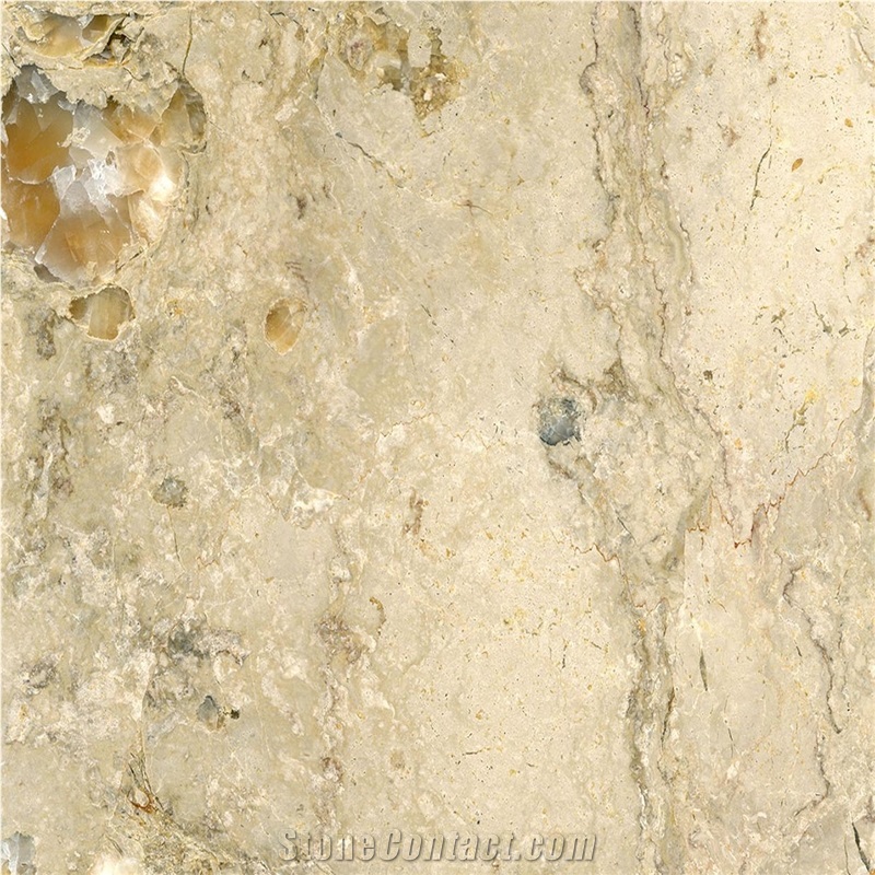Napolina Limestone Tile 24X24 Honed