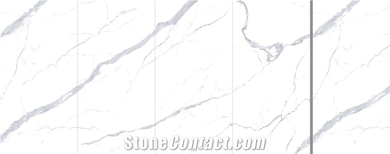Polar White Sintered Stone 03