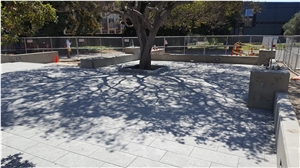 Bluestone Paver