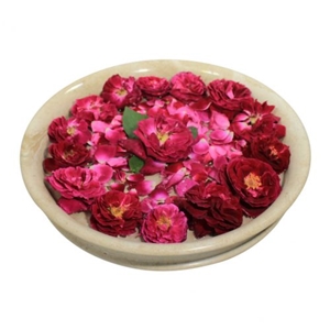 Premium Champagne Marble Fruit, Vegetables& Decorative Bowls