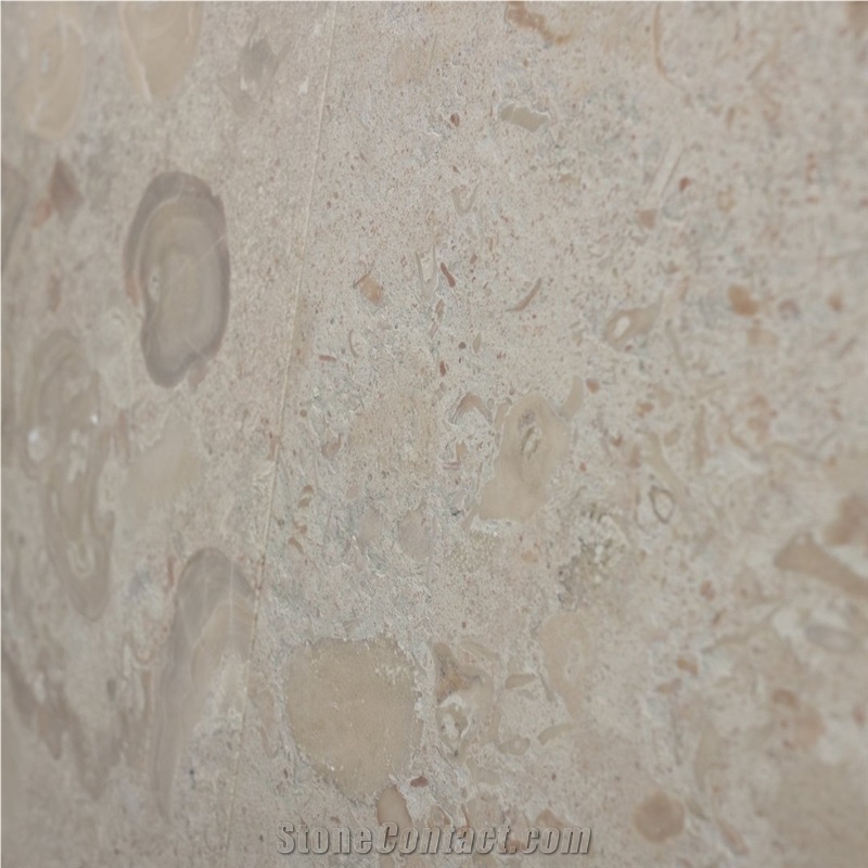Sodervange Limestone Matt Honed Tiles