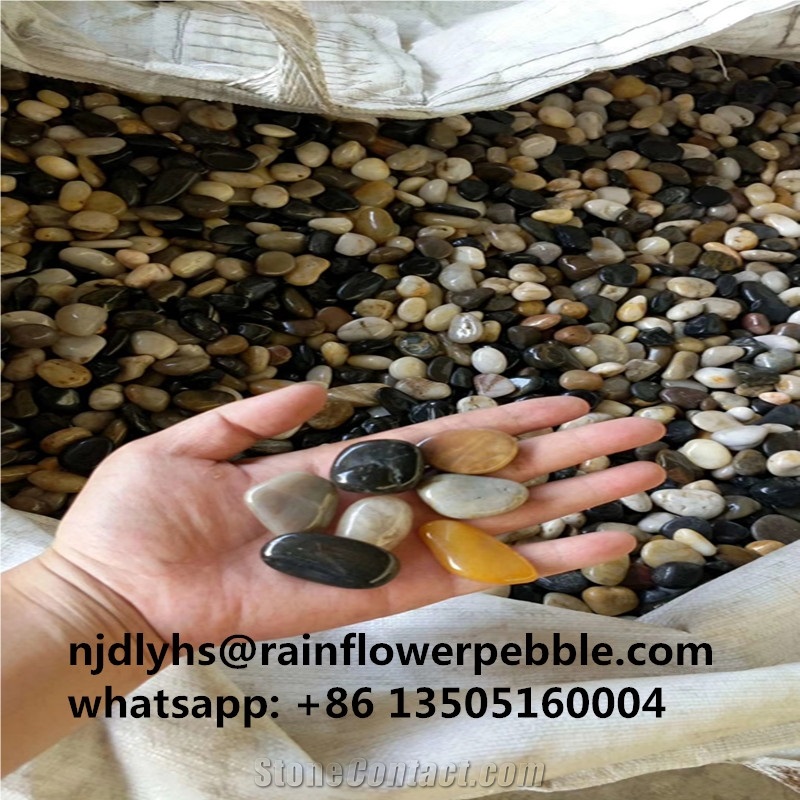 Mixed Polychrome Color Pebble River Stone Tile