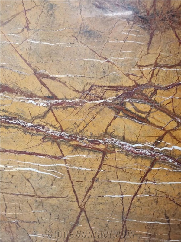 Natural Stone Rainforest Brown Marble Slabs 