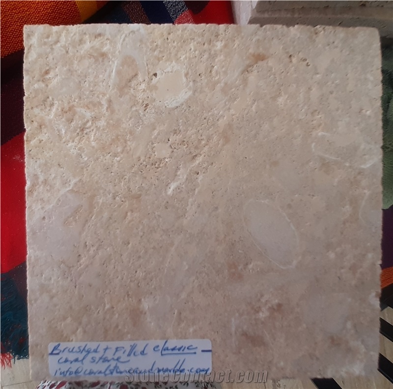 Honed Finished Coral Stone Tiles, Coral Stone Wall Tiles