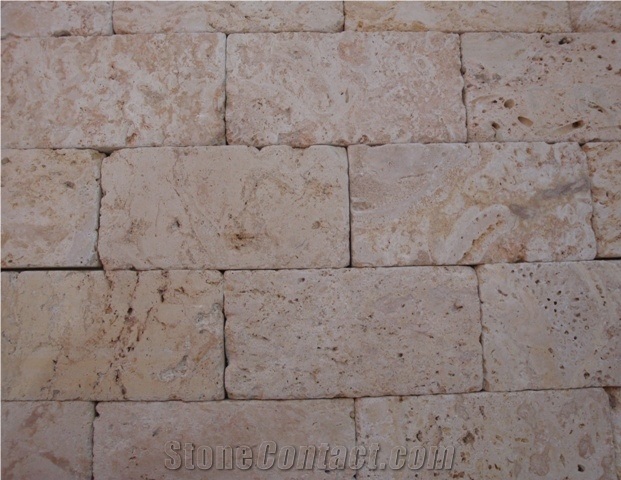 Honed Finished Coral Stone Tiles, Coral Stone Wall Tiles