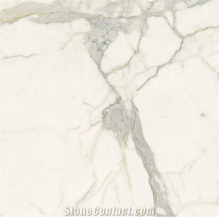 Calacatta Marble Slabs, Tiles- Calacatta Carrara