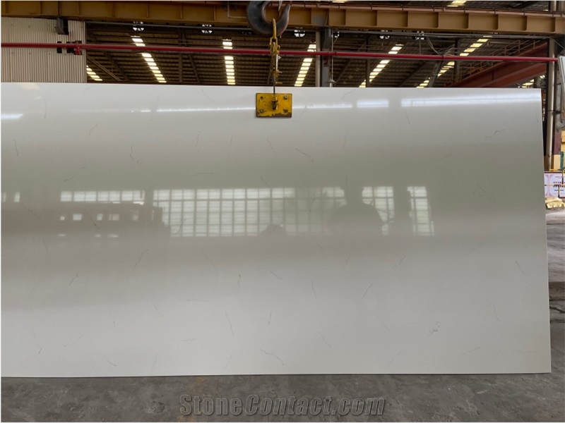 Hot Sale Carrara White Slab For Wall Cladding/Floor Covering