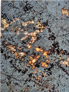 Luxury Quartzite Snow Fox For Wall Cladding/Floor Covering