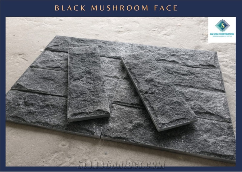 Hot Product Black Mushroom Face Wall Paneling