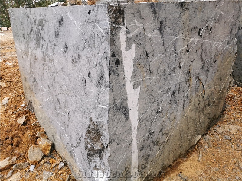 Black Grey Net St Laurent Grey Marble Quarry