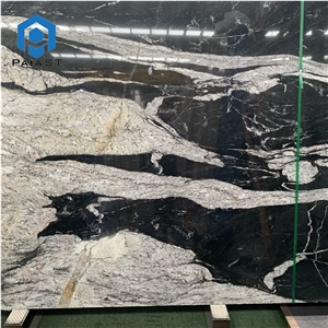 Brazil Black Quartzite With White Veins Slabs For Countertop