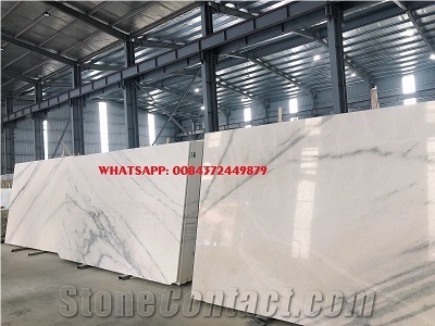 Cheap Price Vietnam Marble Carrara Tile