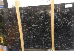 Black Fossil Slabs, Fossil Black Limestone