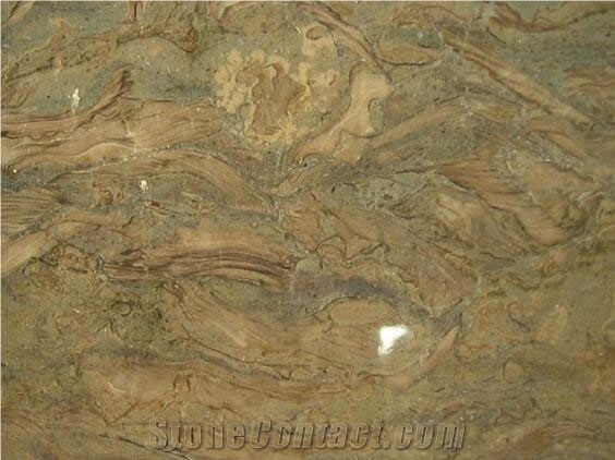 Fossil Beige Marble Tiles,Slabs