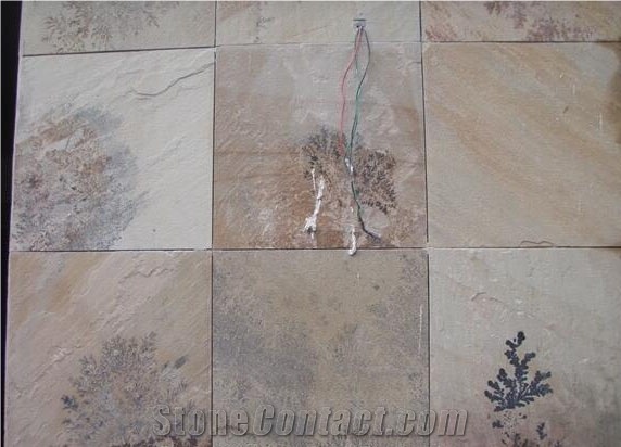 Fossil Mint Sandstone Tiles, Beige Sandstone Slabs India