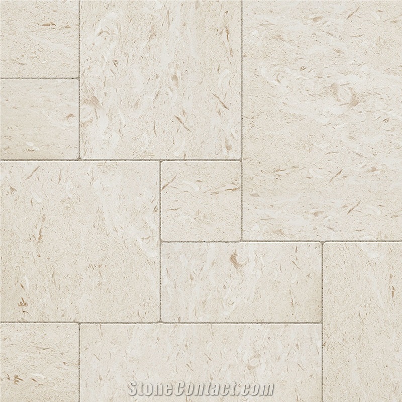 Shellstone Slabs, Tiles, Turkey White Limestone Tiles & Slabs