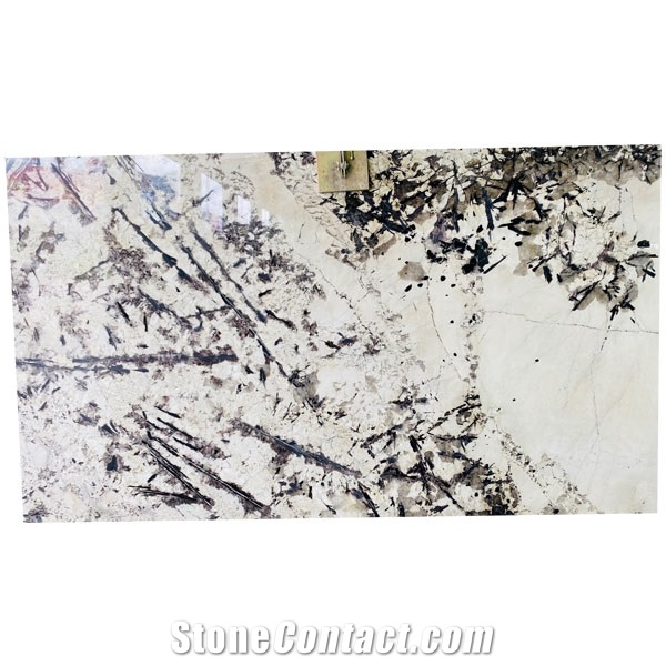 Brazil White Granite Splendour White Slab For Bathroom