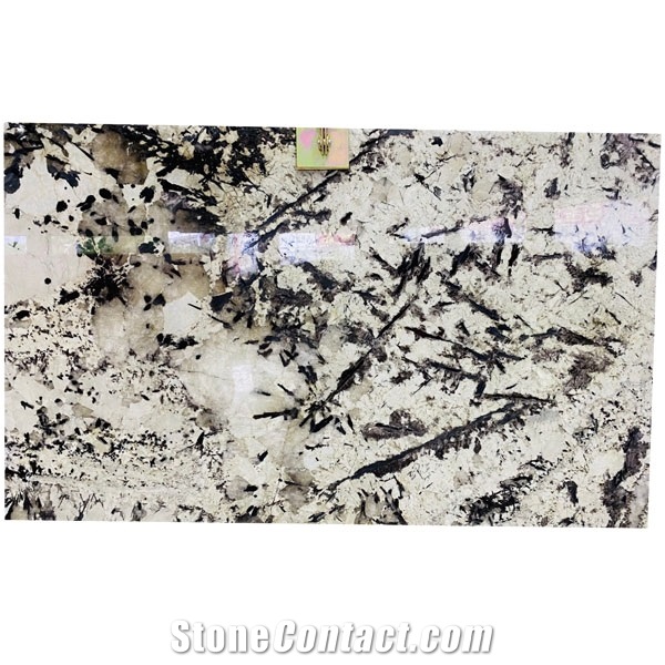 Brazil White Granite Splendour White Slab For Bathroom
