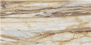 Roca Fossil 40X80 7.0 Mm Polished Porcelain Slabs