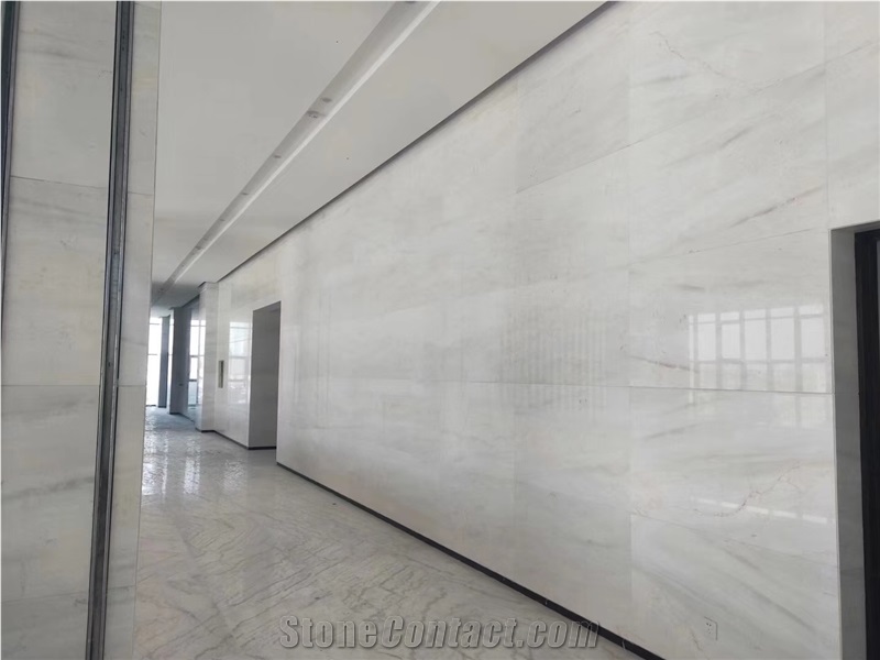 Price Competitive Beautiful Ariston White Marble Slabs