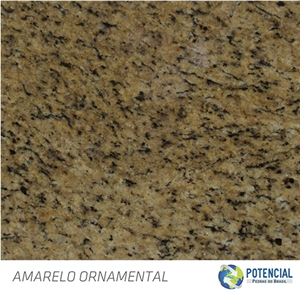 Amarelo Ornamental Granite Slabs