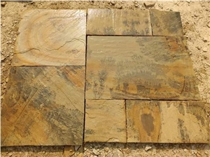 Mint Fossil Indian Sandstone