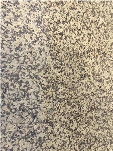 Chinese Chrysanthemums Yellow Granite Slabs