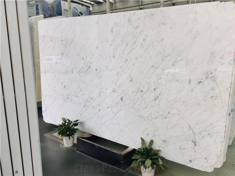 Italy Import Statuario Carrara Marble 1.8Cm Thickness Slabs