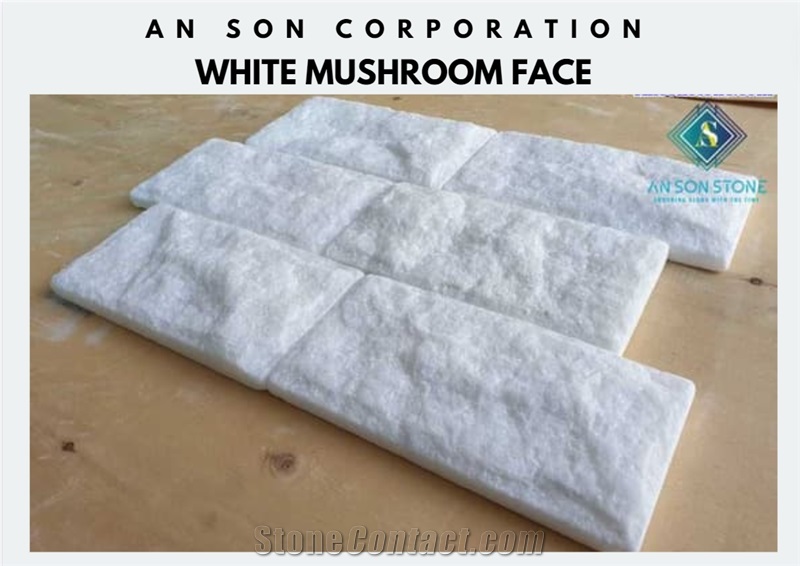 Top Marble White Mushroom Face Wall Panel