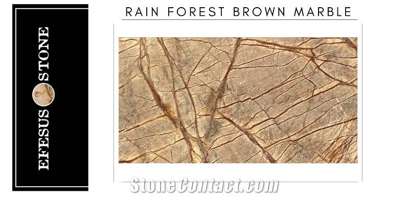 Rain Forest Brown Marble