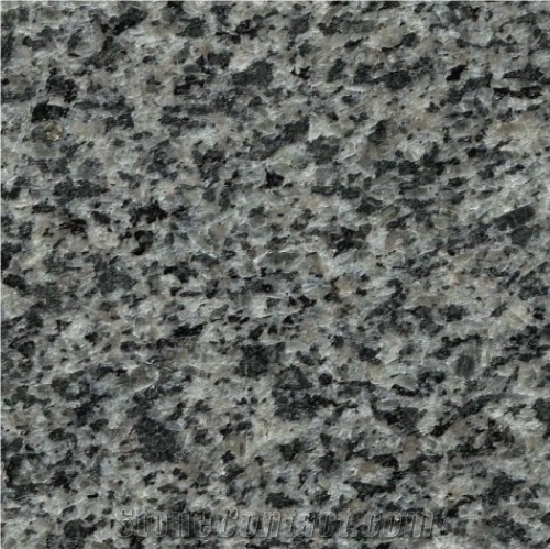 G654 Dark Green Grey Granite Of China Padang Granite Stone