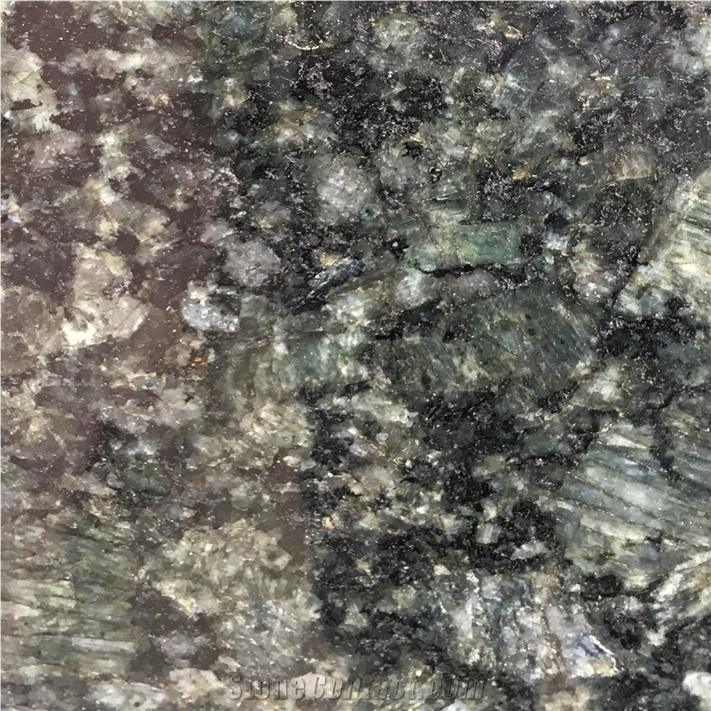 China Dark Butterfly Green Granite Floor Tile