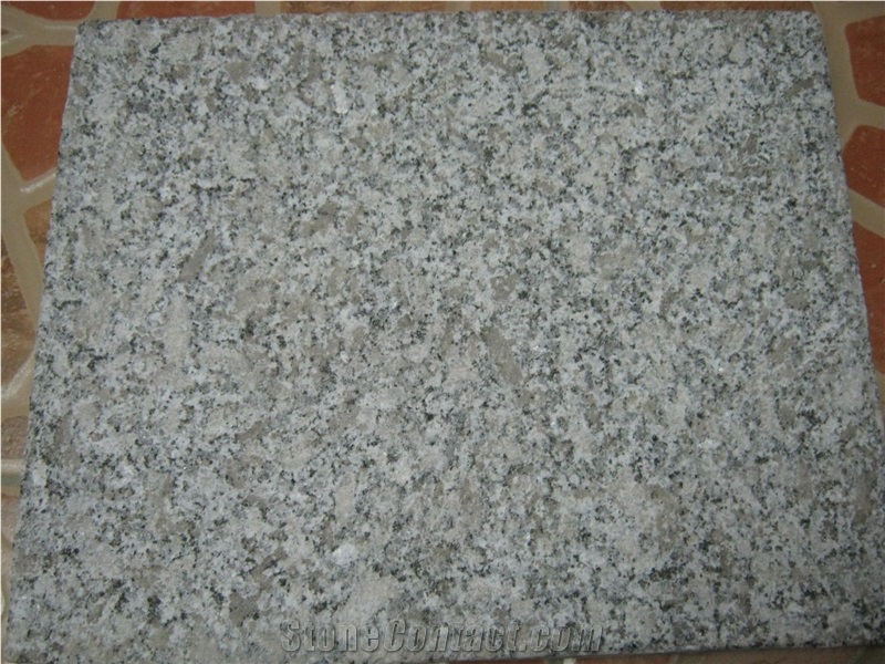 Honed New New Bianco Sardo Granite G602 Tiles