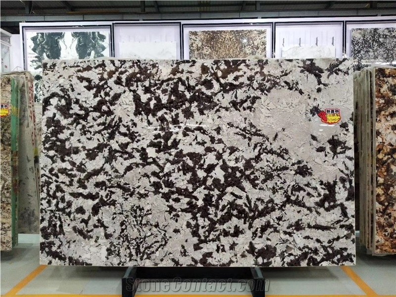 Brazil Silver Fox Granite Snow Mountain Aran White Slab Tile