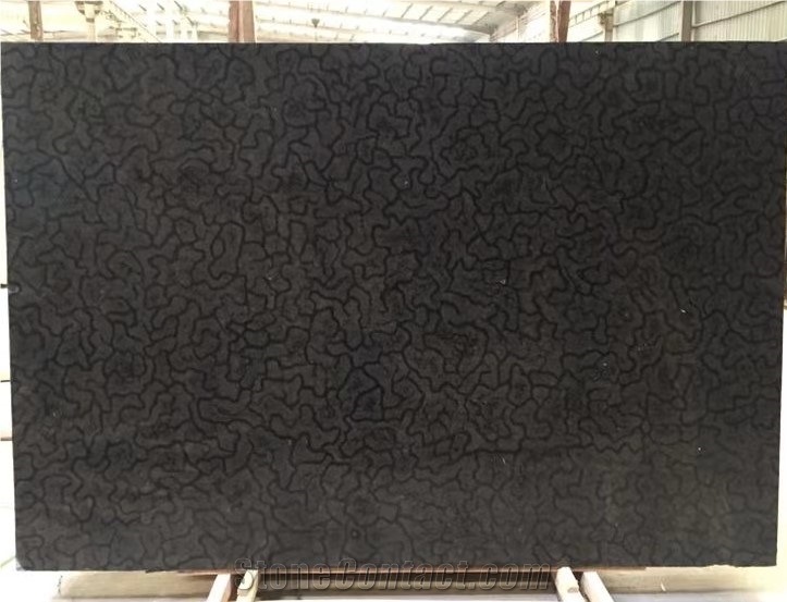 Special Black Oracle Marble,Turtle Vento Marble Slabs&Tiles