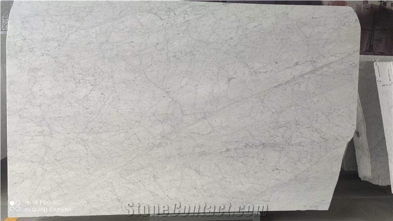Polished Calacatta Carrara White Marble Wall Covering