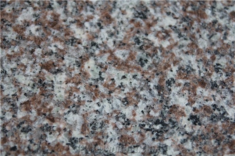 G664 Granite  Indoor Metope Outdoor  Ground Outdoor Tiles